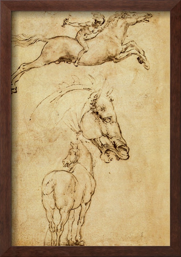 Sketch Of A Horse - Leonardo Da Vinci Painting